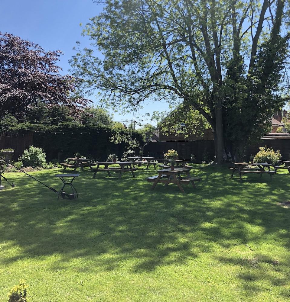 Bed and Breakfast The Honingham Buck Exteriér fotografie